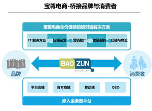 寶尊攜手希杰重構電商版圖 撬動萬億級市場 市場營銷策劃全解析
