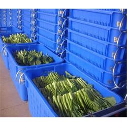 農(nóng)副產(chǎn)品誠信企業(yè)精選 品質(zhì)與信譽(yù)的標(biāo)桿